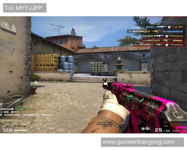 对话杨丽：谈CS_GO生涯